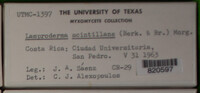 Image Associated With the Occurence